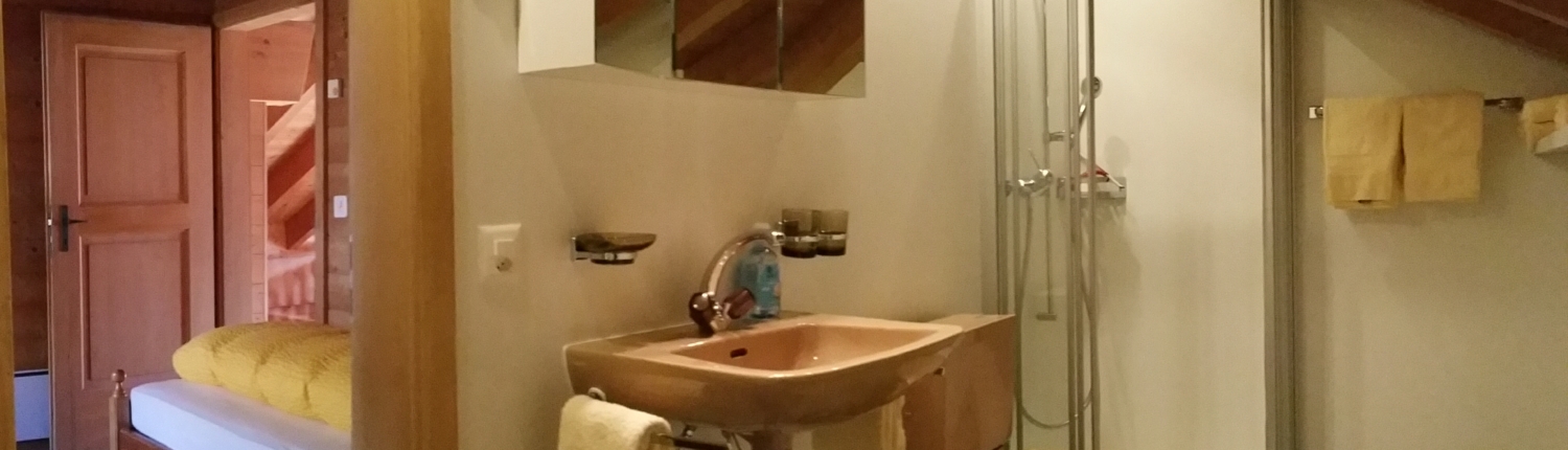 Aletsch Service_Ferienwohnung_Riederalp_Duplex Dachwohnung (8)