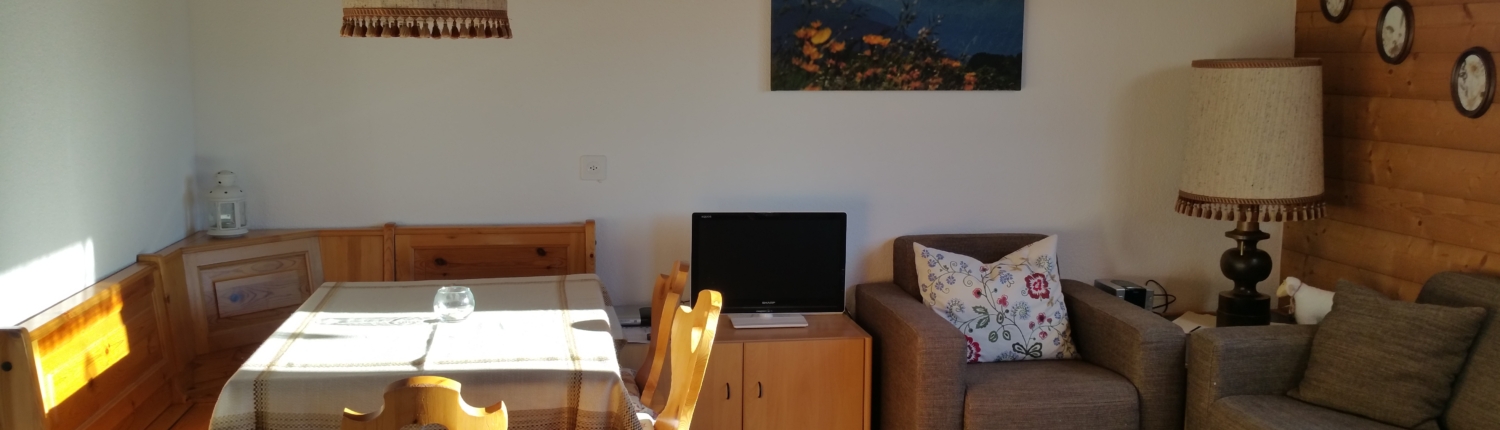 Aletsch Service_Ferienwohnung_Riederalp_Studio_Franz (6)