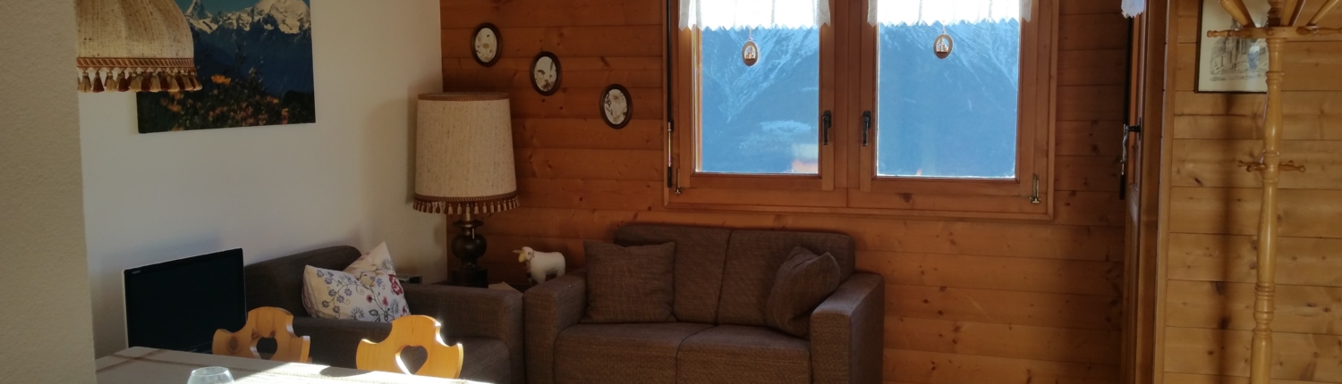 Aletsch Service_Ferienwohnung_Riederalp_Studio_Franz (7)