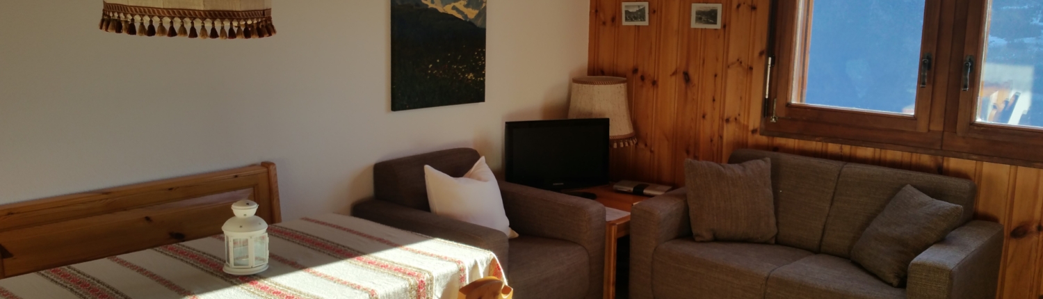 Aletsch Service_Ferienwohnung_Riederalp_Studio_Georges (18)