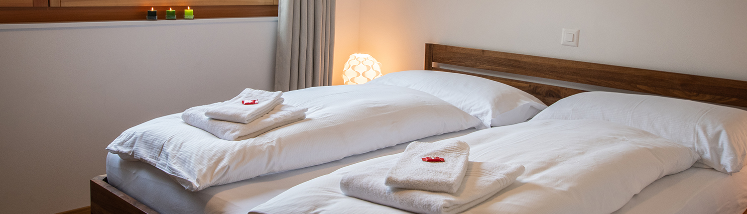 Aletsch_Service_Ferienwohnung_Riederalp_Alpenresort_B11 (16)-edit