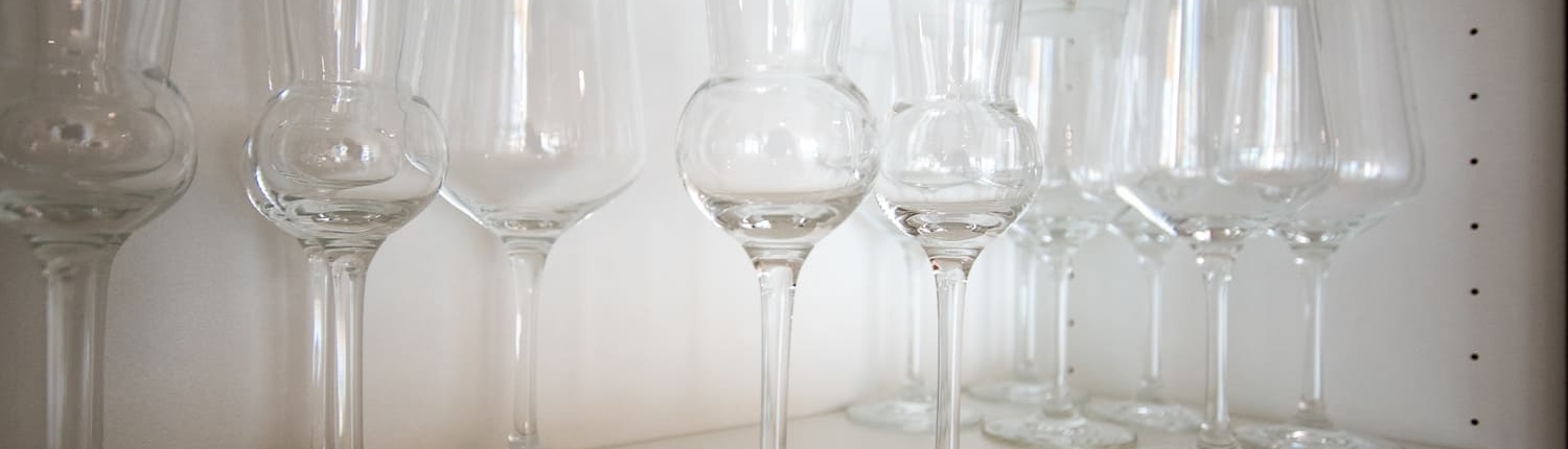DSC_2463-1500x430
