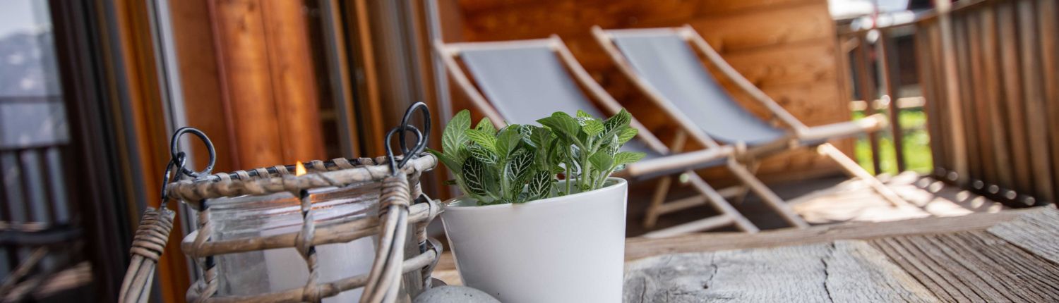 aletsch_service_ferienwohnung_riederalp_anna-isabelle_penthouse-(24)_optimized