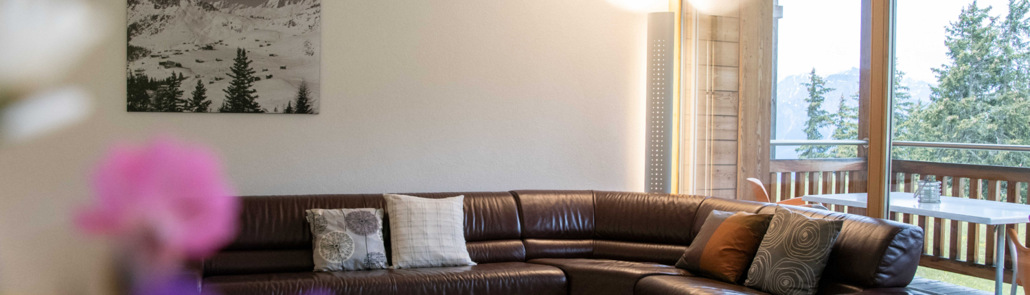 aletsch_service_ferienwohnung_riederalp_bella-vista_eiger_bv11-(16)_optimized