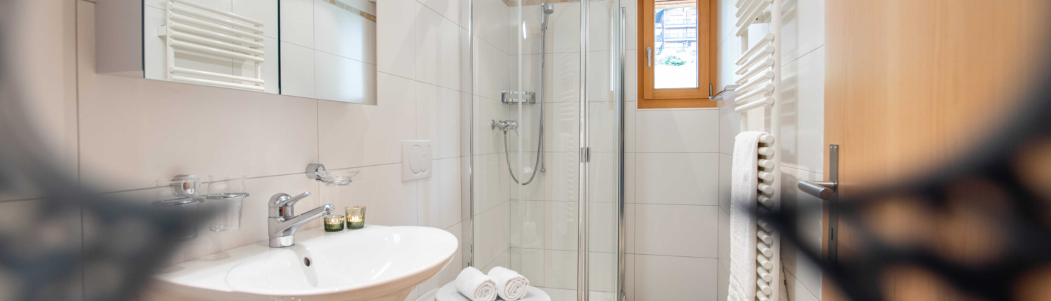 aletsch_service_ferienwohnung_riederalp_bella-vista_eiger_bv11-(1)_optimized