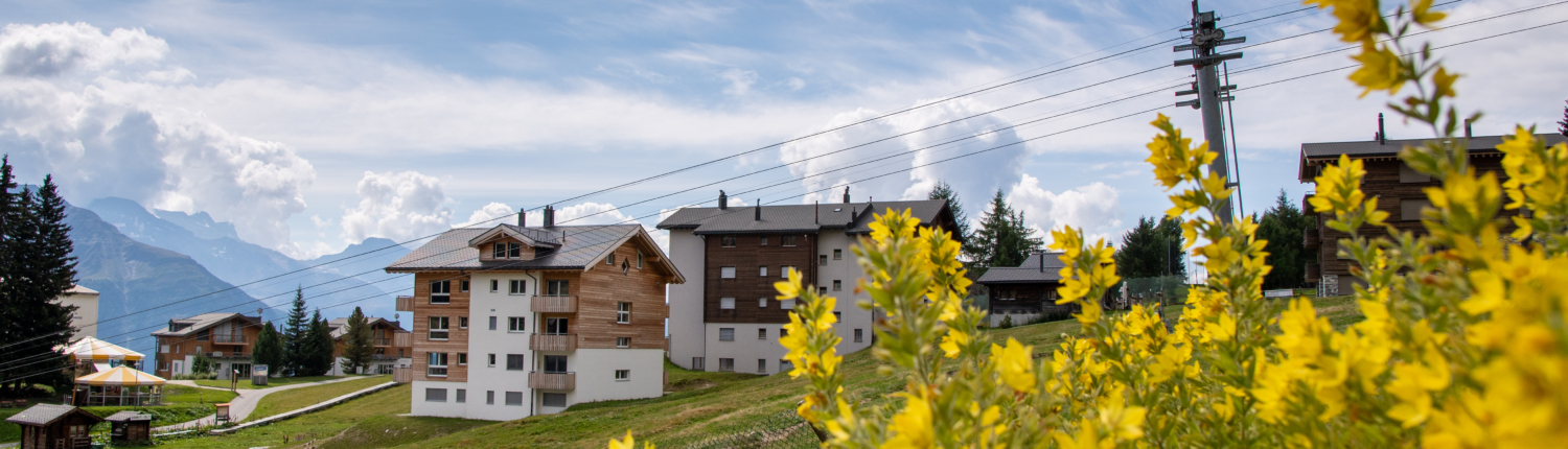 Aletsch_Service_Ferienwohnung_Riederalp_Weisshorn_Aussenansicht(22)