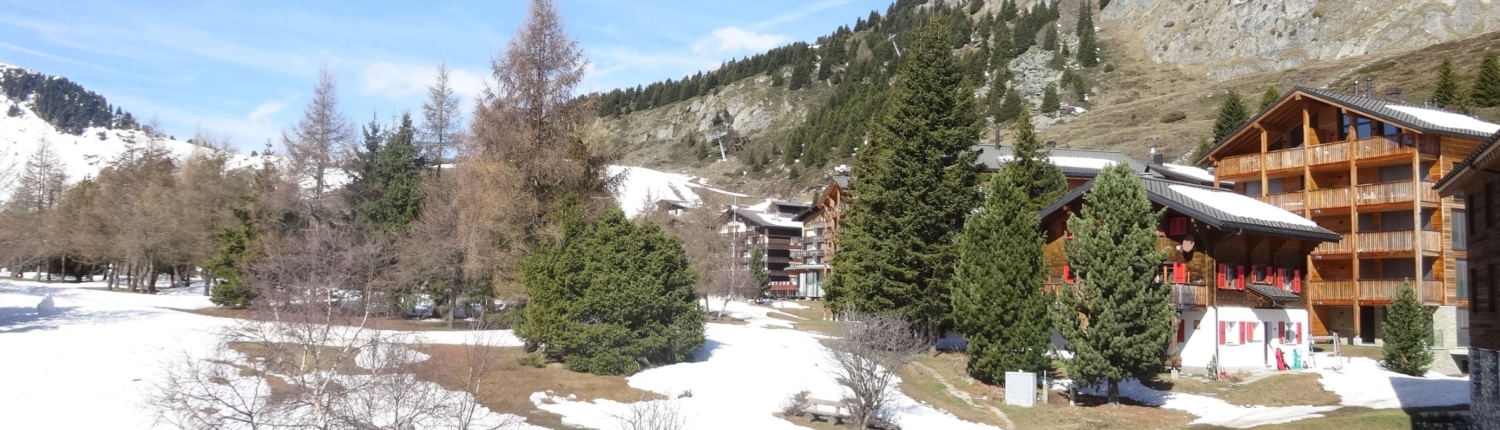 aletsch_service_ferienwohnung_riederalp_abusunna,huber_aussicht_winter-11